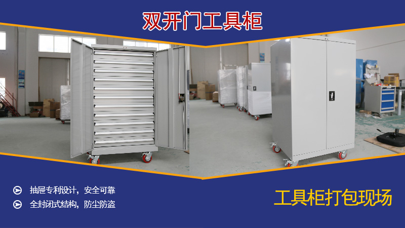 河北雙開(kāi)門(mén)工具柜，天金岡
